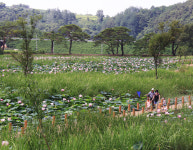 [우리동네 이야기 속으로] 90. 영양 삼지마을