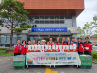 칠곡군 지천면 지역사회보장협의체, 위풍당닭-삼계탕으로 건강한 여름나기 봉사활동