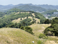 [경북의 숨은 명산] 10. 고령 주산