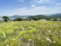 [경북의 숨은 명산] 10. 고령 주산