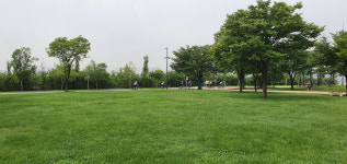 [코로나 블루 치유, 명상 탐구] 1. 문화도시 서울, 명상의 선두 도시로 꽃피다