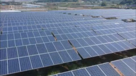 우후죽순 태양광 시설 농촌 뒤덮을 때 농협은 이자 장사