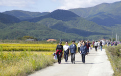 포항 북구보건소, 송라면 황금들녘 건강걷기행사 개최