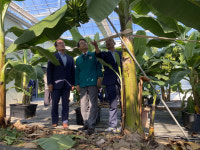 김하수 청도군수, 스마트 농업 테스트 베드 사업장 현장방문