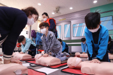 [포토] 생명을 살리는 힘…대구 성지초 2학년 학생들 심폐소생술 교육