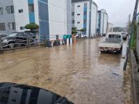 포항 청림동 또 침수…태풍 힌남노 내습 2달여 만에