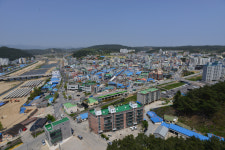 울진읍사무소, 겨울철 산불 위험 차단…1월 말까지 영부농산물 파쇄기간 운영