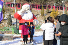 눈썰매 타고 알파카 보고…봉화 분천 산타마을 낭만 가득