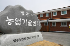 영주시 벼 특수미·밭작물 종자 15일까지 신청하세요