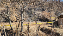 안동시 임동면 산불 마을이장 초기진화로 인명·재산피해 막아