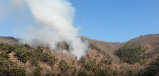 봉화 명호면서 산불 발생…산림당국, 헬기 4대 투입 진화 중