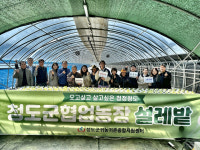 청도군 귀농·귀촌연합회, 11월까지 협업농장 설레밭 운영