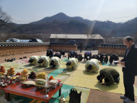 문경시 동로면 적성2리 효부계, 경주 김씨 효부각 추모제