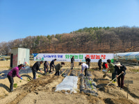대구 화원농협, 설화리 마수지 주말농장 개장