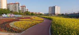 경산 남천 둔치 봄꽃 어울림 화단 조성