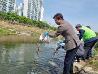 경산시, 동양하루살이 친환경적 방제 미꾸라지 300kg 방류