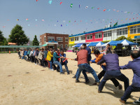 안동 길안초, 제1회 길안면 초등학교 연합동창회 체육대회 성료