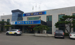 우리담배판매 성주대리점.청도대리점 | 성주군, 고온기 담배가루이 주의보…"황색 끈끈이 트랩 설치 필요"
