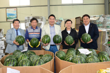 고령우곡그린복합영농조합법인 수박 직판장 10일까지 운영