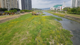 경산 남천 하상 내 퇴적토 정비 완료