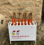 비 오는 날이 더 좋은 무섬마을…영주시 양심우산 대여소 운영