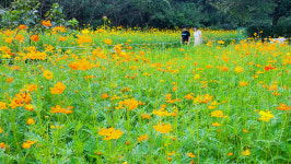 경북·대구, 주말까지 비…울릉도·독도 80㎜