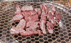 한우값 럼피스킨병 쇼크…도매가 ㎏당 2만원 돌파