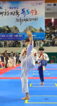 2023 대한민국 독도수호태권도대회 영천서 개막