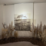 김천시립미술관, 홍택유 회고전 시선에서 사진까지…내년 3월 31일까지