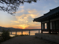 [걸어서 힐링속으로-경북을 걷다] 5. 구미 낙동강문화생태탐방로