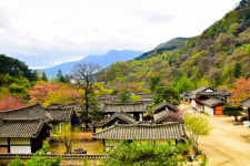 [걸어서 힐링속으로-경북을 걷다] 10. 문경새재