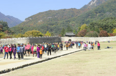 [걸어서 힐링속으로-경북을 걷다] 10. 문경새재