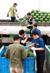 [포토] 성큼 다가온 여름