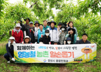 대창면-오길리-P224723064662 | 영천시 공무원, 영농철 맞아 소규모 농가 일손돕기 '구슬땀'