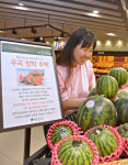 대백프라자 식품관, 달디단 우곡수박 판매