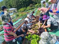 심신 치유하는 녹색 처방전 받아가세요