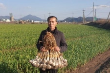 [경북 향토기업인] 의성 우일농산 영농조합법인 유춘근 대표