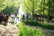 [걸어서 힐링속으로-경북을 걷다] 24. 안동 월영교 호반길