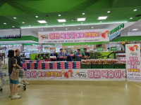 영천시조합공동사업법인, 하나로마트 서울 양재점·대구 성서점 판촉행사 성료