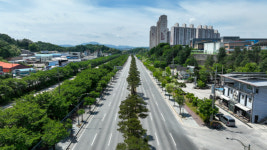 영주시 서원로, 산림청 2024년 우수 관리 가로수길 등극