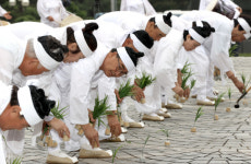 [포토] 달성하빈들소리 공연