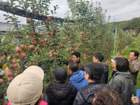 영주시, 사과다축 재배기술 습득 위해 현지 연찬 교육