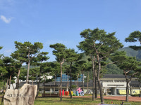 [걸어서 힐링 속으로-경북을 걷다] 41. 청도 신화랑 풍류마을