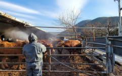 대구 동구 한우농장 럼피스킨 최종 확인…살처분 등 긴급 방역 조치