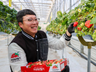 청년농업인과 첨단기술의 만남…의성 딸기산업 세계화 이끈다