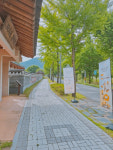 의성 최치원문학관, 입춘첩 조기 소진…2월 릴레이 글쓰기 이벤트