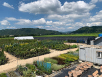 [이사람] 국내 최대규모 가든센터 미래종묘 정홍은 대표