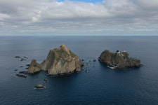 울릉도·독도 해역, 수온 상승으로 열대 어종 급증…해양 생태계 변화 뚜렷