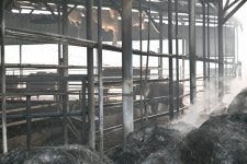 의성산불로 영덕 곳곳 피해 심각…해안가까지 확산