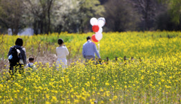 대구·경북, 이번 주 일교차 큰 봄 날씨…10일엔 비 소식